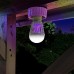 Уничтожитель насекомых - лампочка Noveen IKN-803 LED Уничтожитель насекомых - лампочка Noveen IKN-803 LED