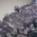 Микроскоп Bresser Erudit ICD (30.5) (5803600)