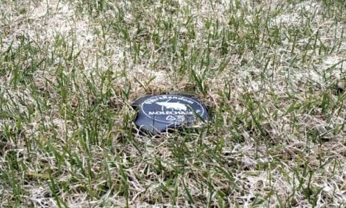 Відлякувач кротів повністю закопаний в землю