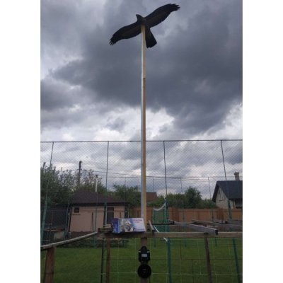 Визуальный и биоакустический отпугиватели птиц на огороде Визуальный и биоакустический отпугиватели птиц на огороде